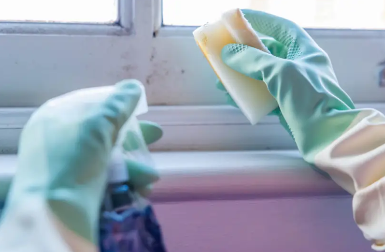 Winter helpful tips: Mould prevention & treatment